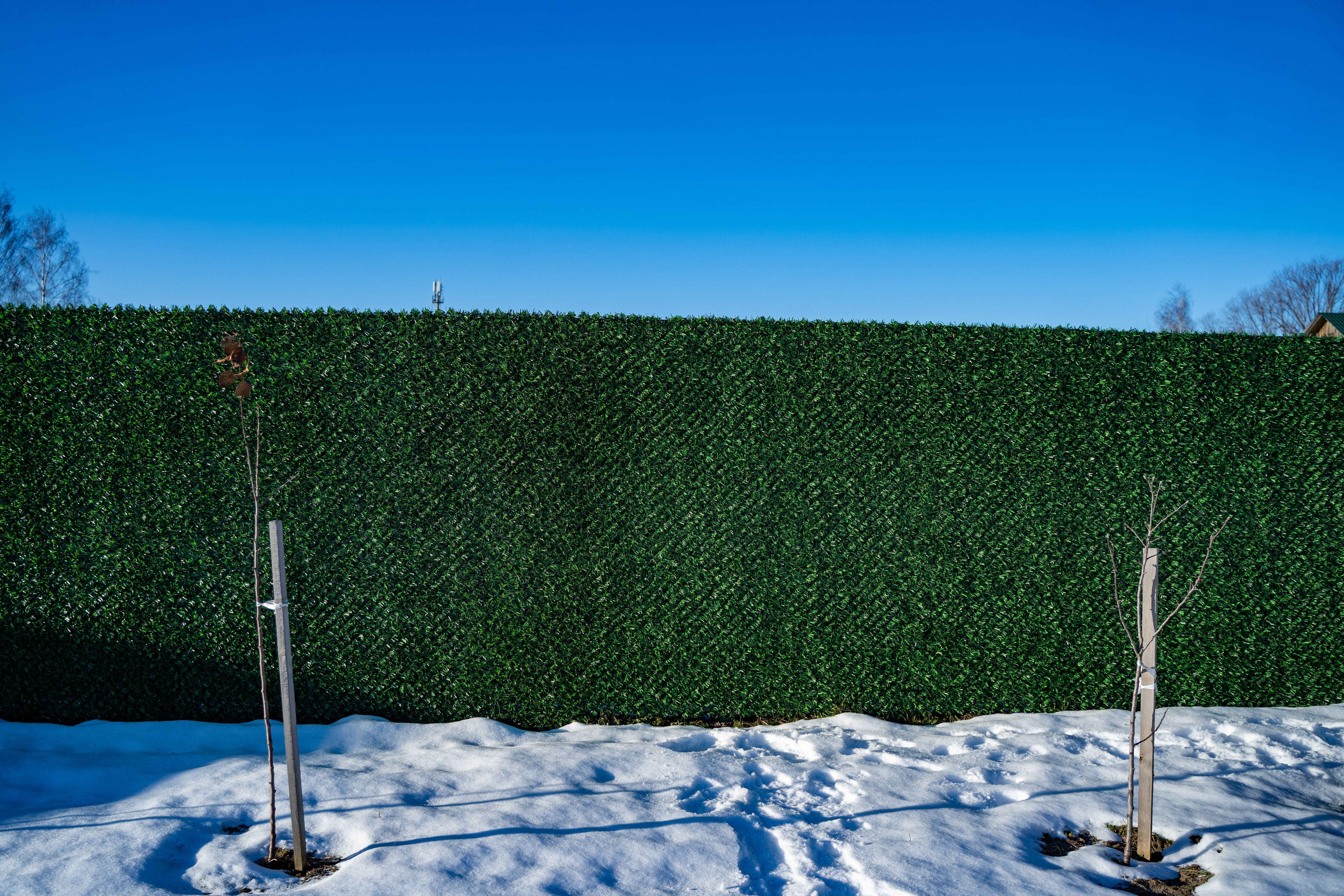 Вечнозеленый забор Grass Fence рулон 2м фото 8 в Твери