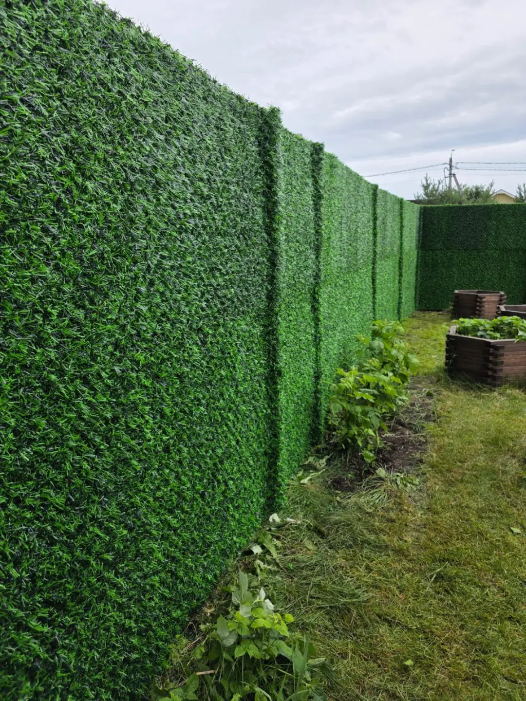 Вечнозеленый забор Grass Fence 37м фото 1 в Твери